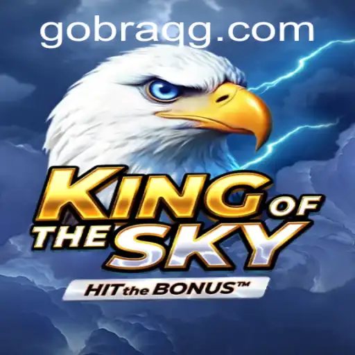 Introducing KingOfTheSky: A New Era in Virtual Gaming